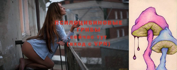spice Лабытнанги