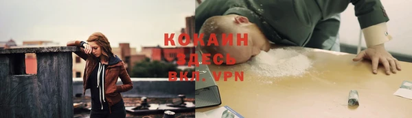 ешки Лагань