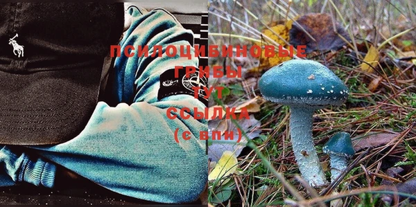 ешки Лагань