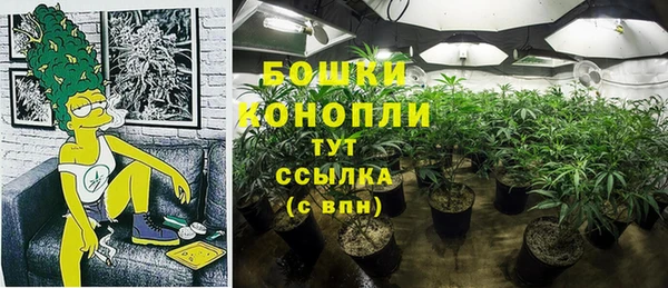 spice Лабытнанги