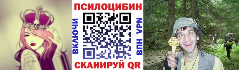 Галлюциногенные грибы Cubensis  Сясьстрой 